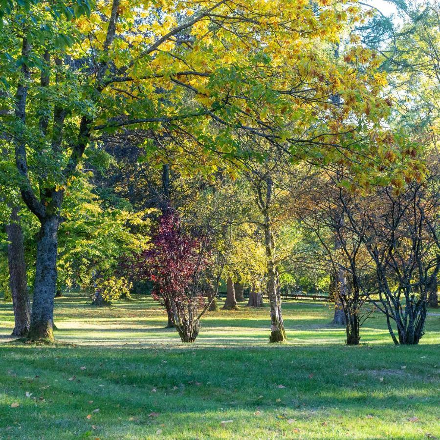 Ferienwohnung "Am Kurpark" Sankt Andreasberg Kültér fotó